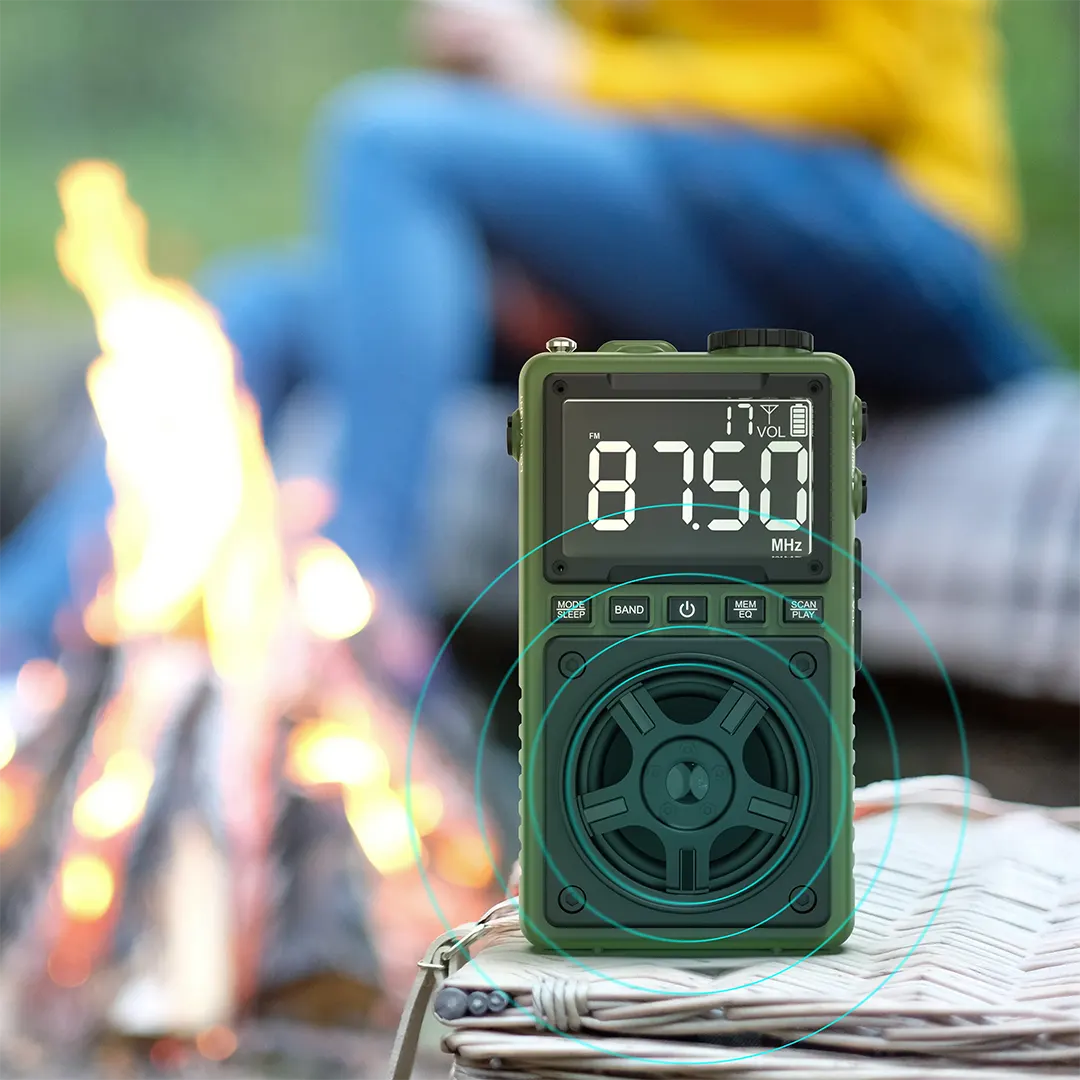 Green Lion Voyager Portable Radio with Bluetooth Speaker