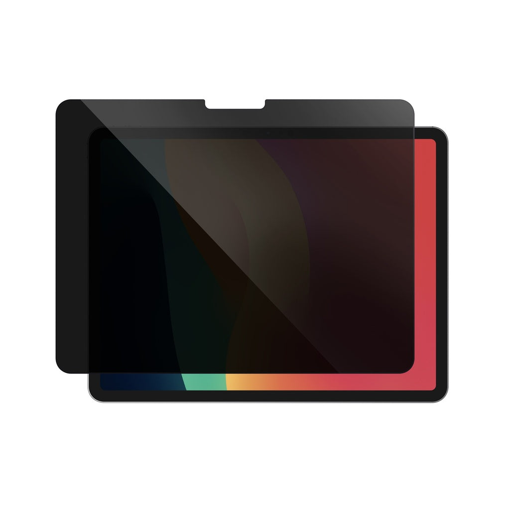 AMAZINGthing IPAD PRO 13 (M4) 2024 2.5D F.COV.RADIX PRIVACY GLASS