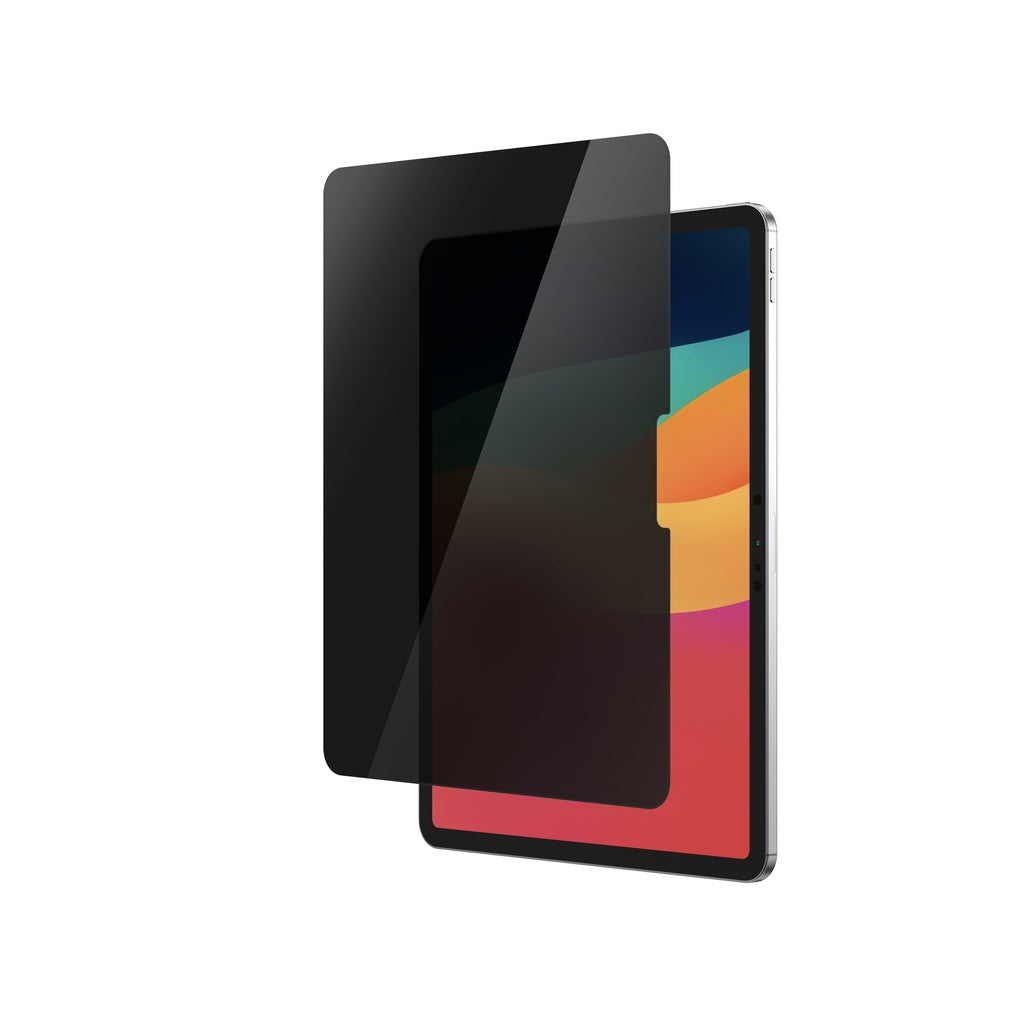 AMAZINGthing IPAD PRO 13 (M4) 2024 2.5D F.COV.RADIX PRIVACY GLASS