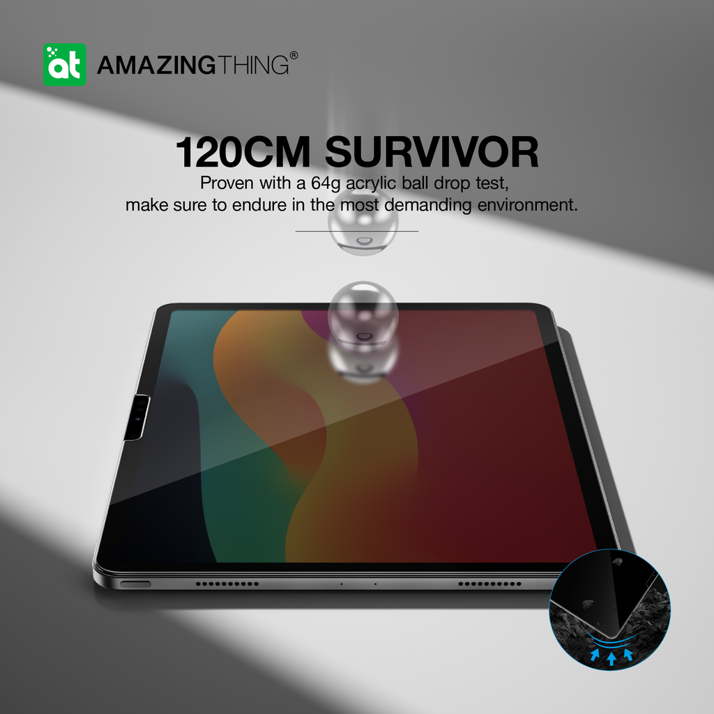 AMAZINGthing IPAD PRO 13 (M4) 2024 2.5D F.COV.RADIX PRIVACY GLASS