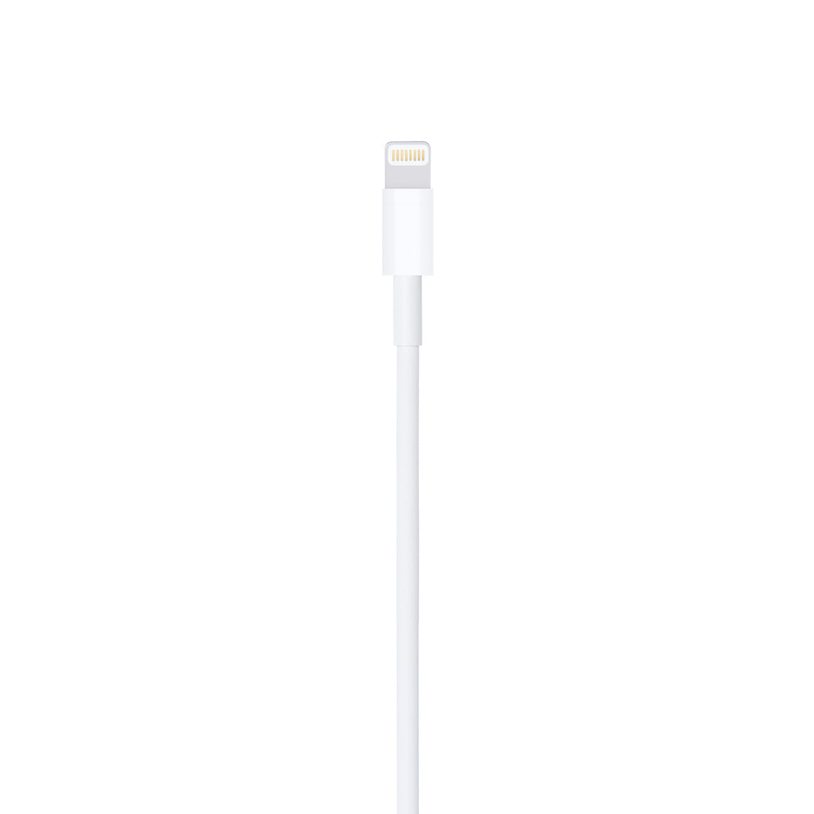 Apple Lightning to USB Cable 2M