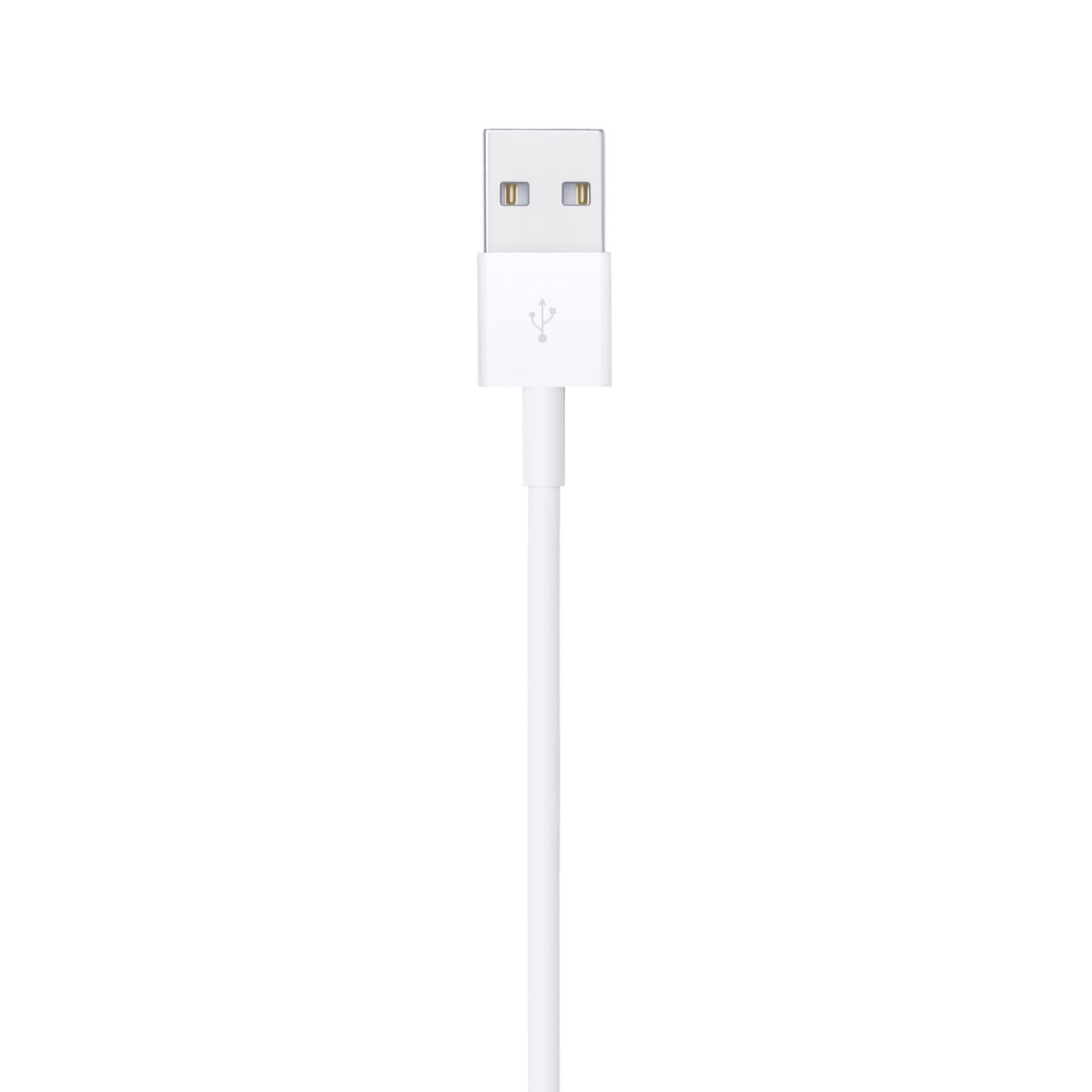 Apple Lightning to USB Cable 2M