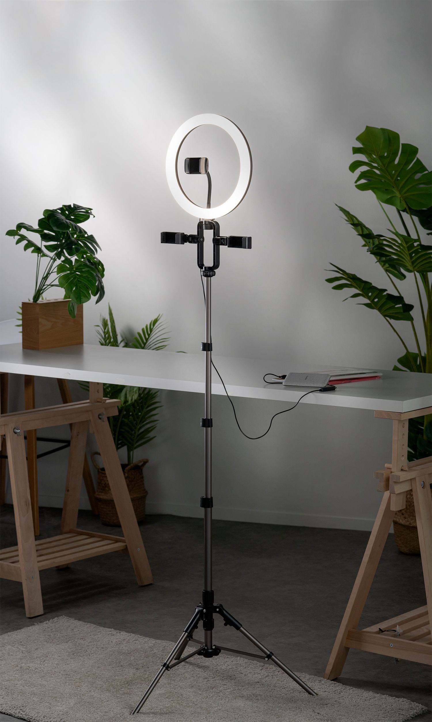 Momax V.LOG Livestream Ring Light - TECH STREET